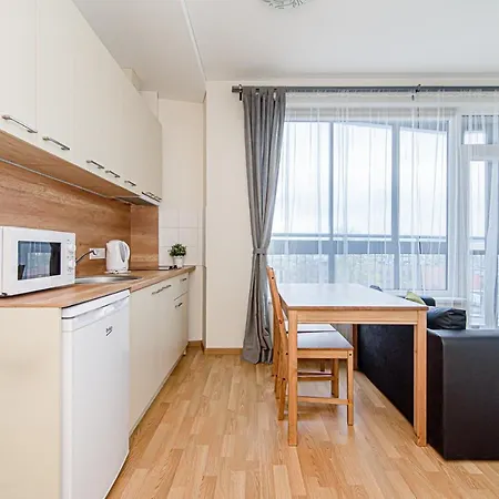 Sky Studio Near The Center Apartment