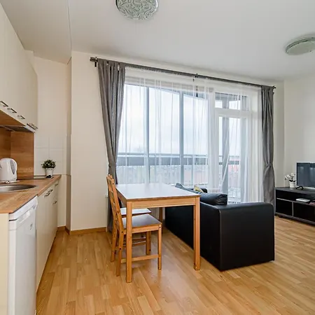 Sky Studio Near The Center Vilnius