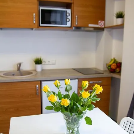 Sky Near The Center Apartment