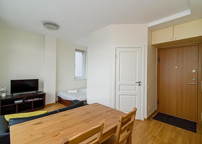 Sky Studio Near The Center Butas