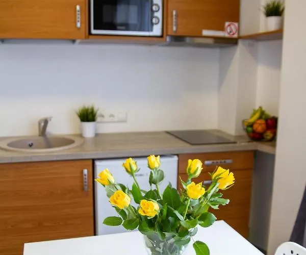 Sky Near The Center Apartment